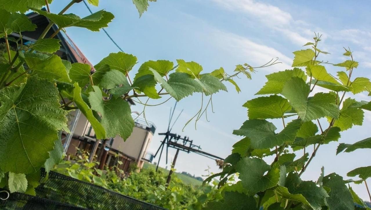 Zweytick Gaestezimmer Weingut Ratsch an der Weinstraße エクステリア 写真