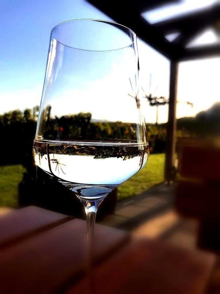 Zweytick Gaestezimmer Weingut Ratsch an der Weinstraße エクステリア 写真