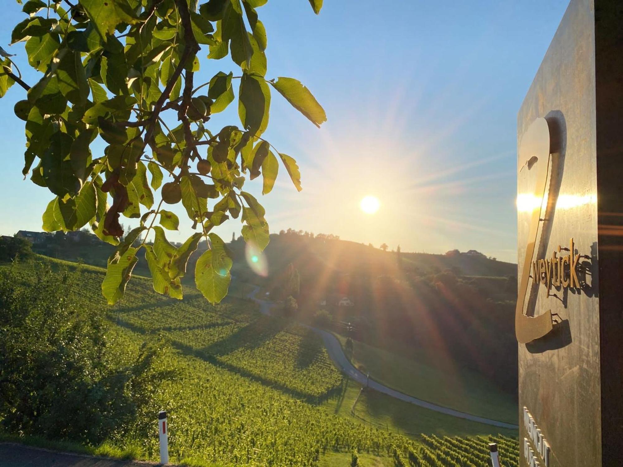 Zweytick Gaestezimmer Weingut Ratsch an der Weinstraße エクステリア 写真