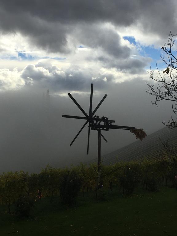 Zweytick Gaestezimmer Weingut Ratsch an der Weinstraße エクステリア 写真
