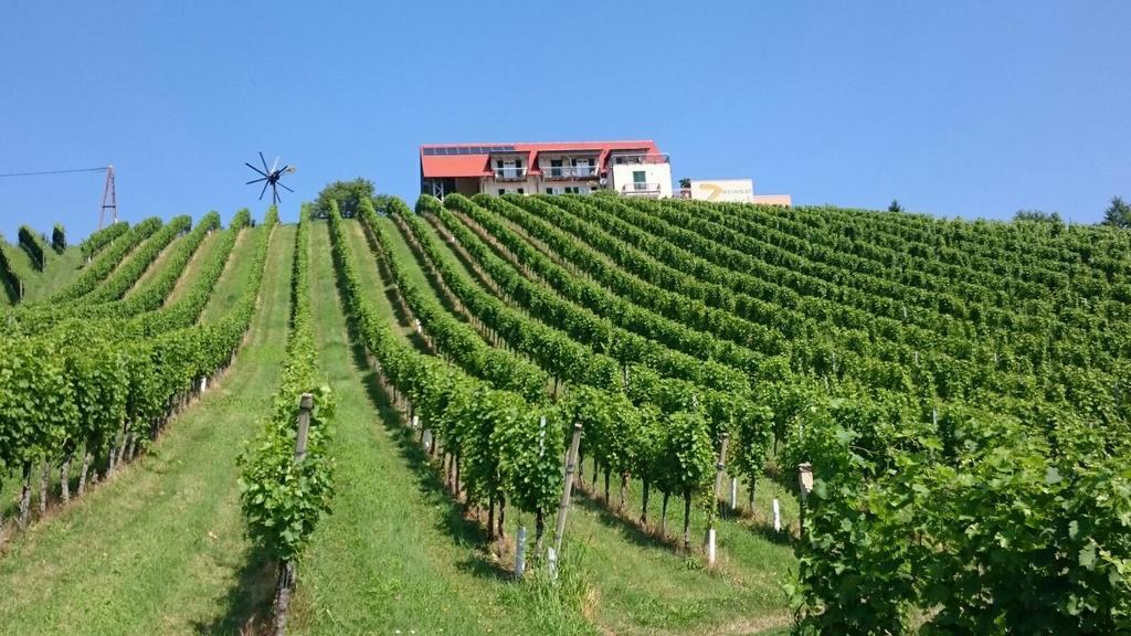 Zweytick Gaestezimmer Weingut Ratsch an der Weinstraße エクステリア 写真