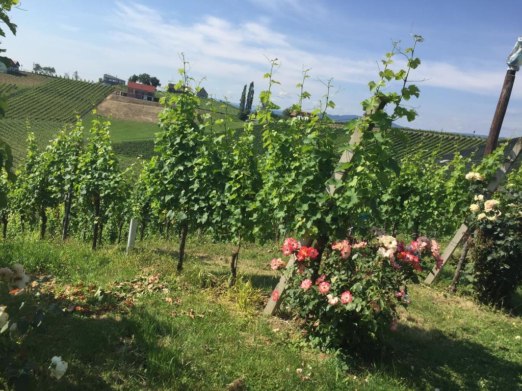 Zweytick Gaestezimmer Weingut Ratsch an der Weinstraße エクステリア 写真