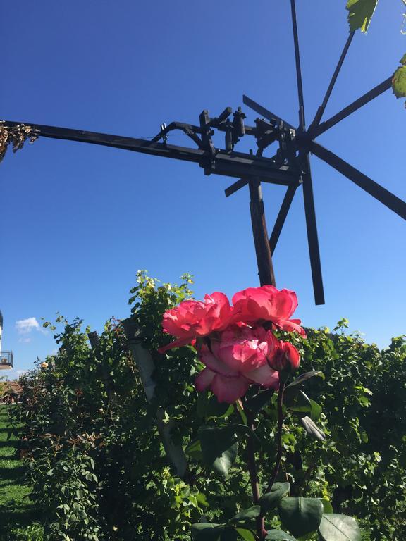 Zweytick Gaestezimmer Weingut Ratsch an der Weinstraße エクステリア 写真
