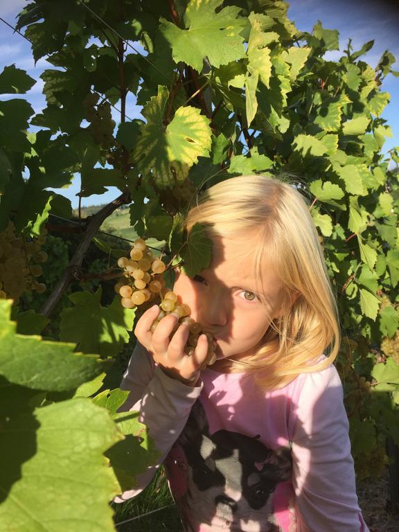 Zweytick Gaestezimmer Weingut Ratsch an der Weinstraße エクステリア 写真